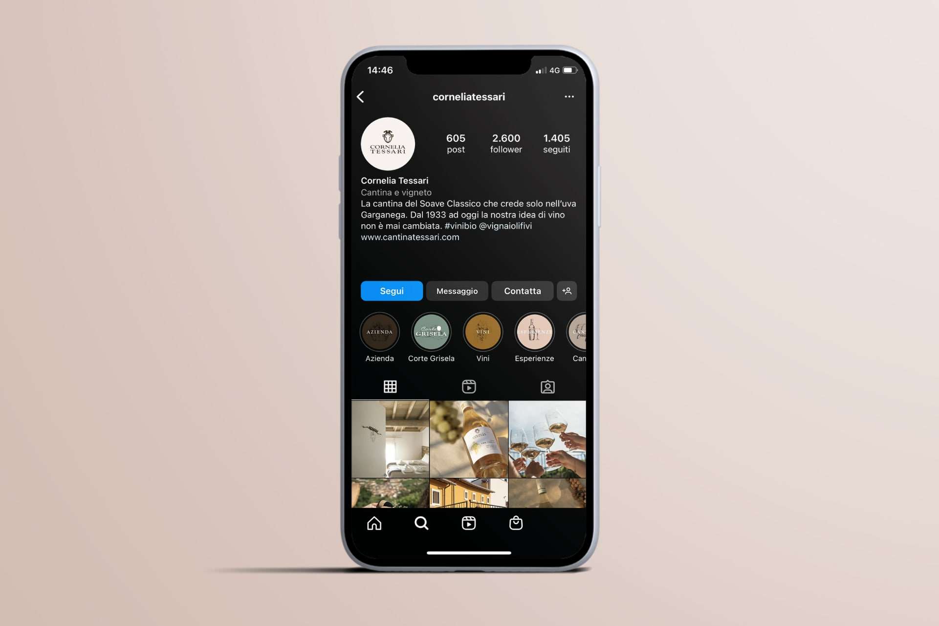 Mockup feed instagram Cantina Tessari