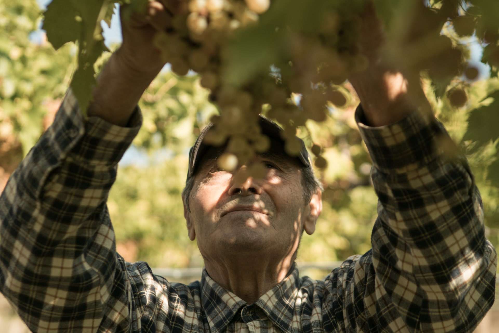 Shooting Cantina tessari