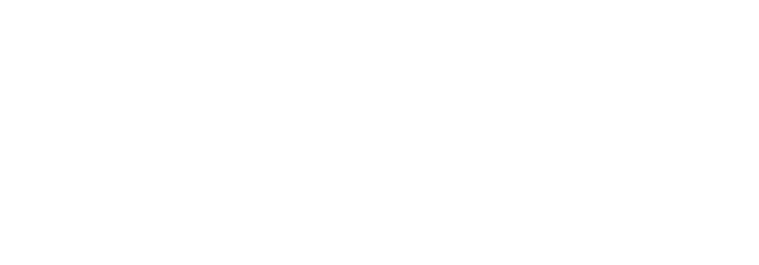 virtus verona logo