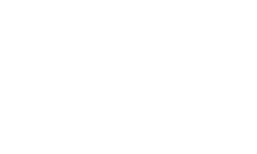 Emotion-E-BIKE